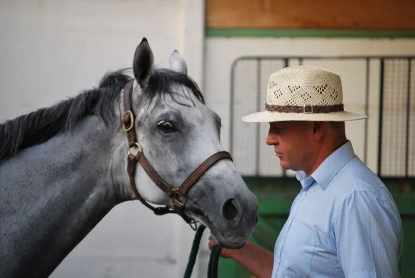 Clinique Equine de Sers - Ondes de choc